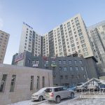 4 rooms penthouse/ Orshil town